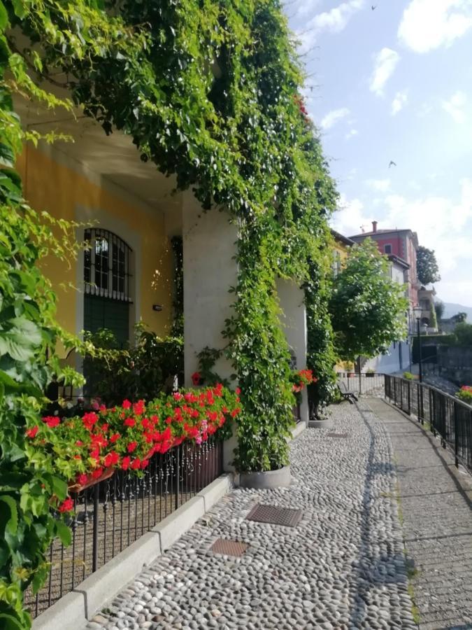 Viewtiful Homestay Stazzona Εξωτερικό φωτογραφία